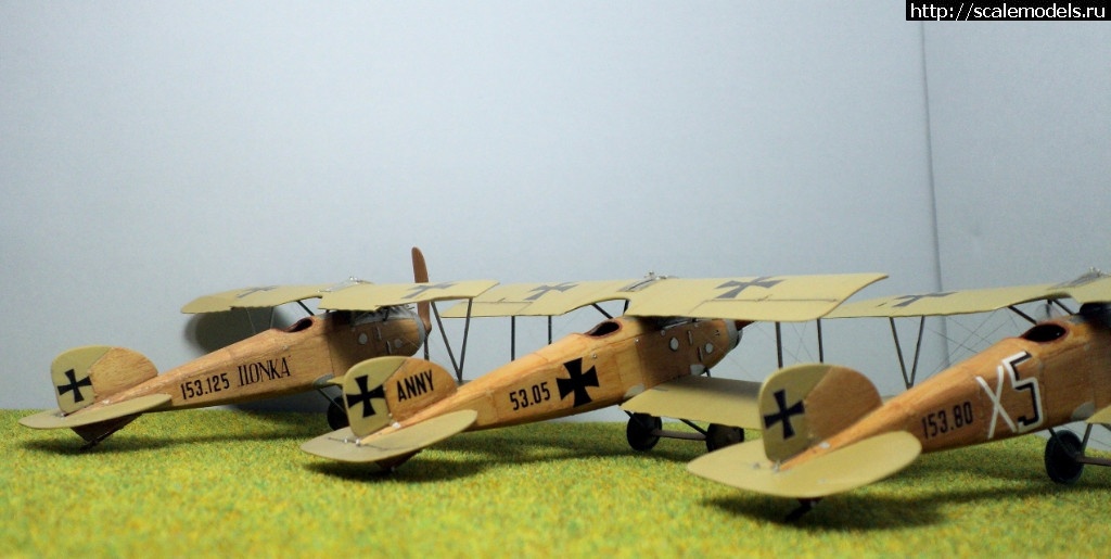 1489946735_13.JPG : #1359372/ Albatros D.III 153.80 Roden 1/72   