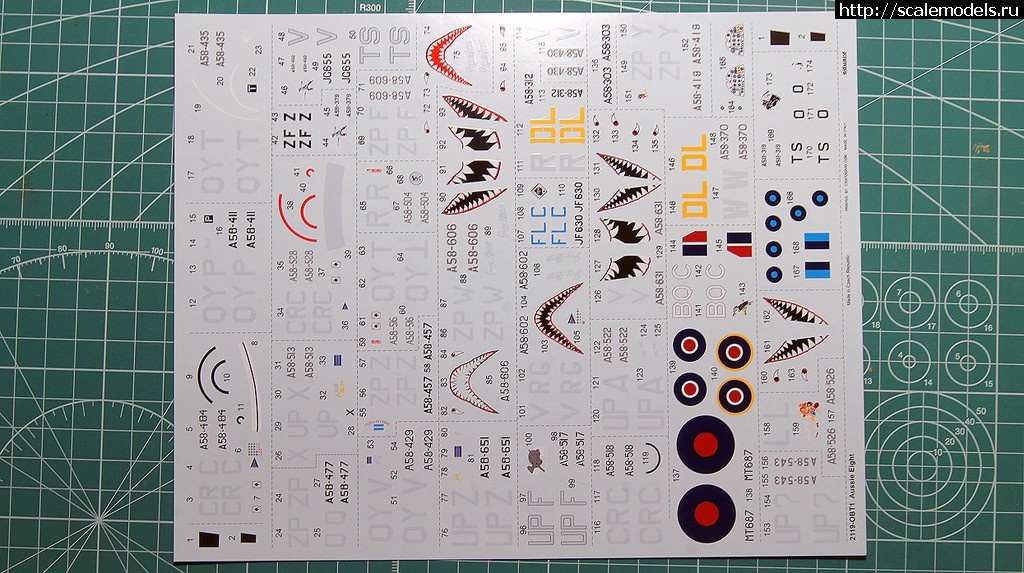 1490034441_DSC07442.JPG : #1359809/ Spitfire Mk. VIII 1/72 Eduard  