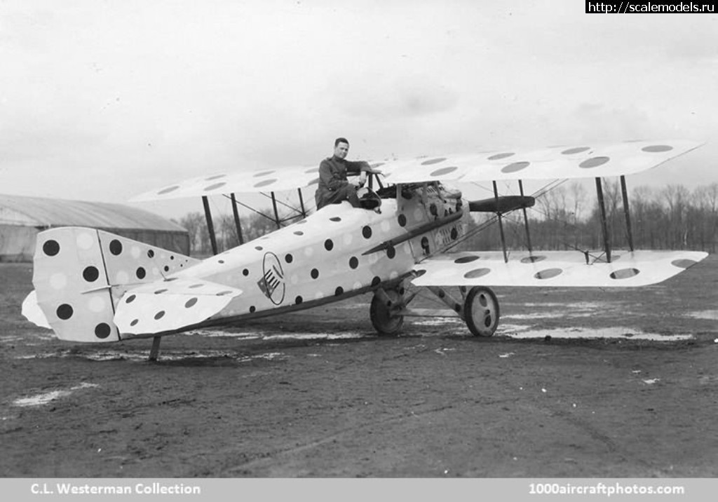 1490127636_12775L.jpg : #1360275/ SPAD fighters- ,      