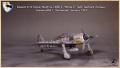  Eduard 1/72 Fw-190A-6, Sturmstaffel 1