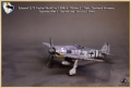  Eduard 1/72 Fw-190A-6, Sturmstaffel 1