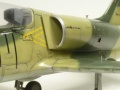 Special Hobby 1/48 L-39C Albatros   