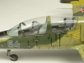 Special Hobby 1/48 L-39C Albatros   