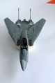 Hasegawa 1/48 F-14D Tomcat GunFighter 160 buno 164601 (2004)