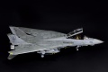 Hasegawa 1/48 F-14D Tomcat GunFighter 160 buno 164601 (2004)