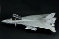 Hasegawa 1/48 F-14D Tomcat GunFighter 160 buno 164601 (2004)