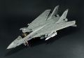 Hasegawa 1/48 F-14D Tomcat GunFighter 160 buno 164601 (2004)