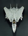 Hasegawa 1/48 F-14D Tomcat GunFighter 160 buno 164601 (2004)