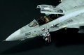 Hasegawa 1/48 F-14D Tomcat GunFighter 160 buno 164601 (2004)