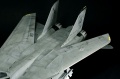 Hasegawa 1/48 F-14D Tomcat GunFighter 160 buno 164601 (2004)