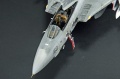 Hasegawa 1/48 F-14D Tomcat GunFighter 160 buno 164601 (2004)