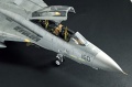 Hasegawa 1/48 F-14D Tomcat GunFighter 160 buno 164601 (2004)