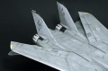 Hasegawa 1/48 F-14D Tomcat GunFighter 160 buno 164601 (2004)