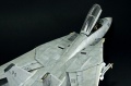 Hasegawa 1/48 F-14D Tomcat GunFighter 160 buno 164601 (2004)