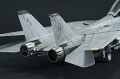 Hasegawa 1/48 F-14D Tomcat GunFighter 160 buno 164601 (2004)