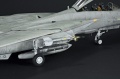 Hasegawa 1/48 F-14D Tomcat GunFighter 160 buno 164601 (2004)