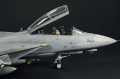 Hasegawa 1/48 F-14D Tomcat GunFighter 160 buno 164601 (2004)