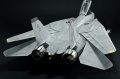 Hasegawa 1/48 F-14D Tomcat GunFighter 160 buno 164601 (2004)