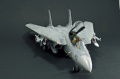 Hasegawa 1/48 F-14D Tomcat GunFighter 160 buno 164601 (2004)