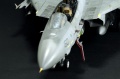 Hasegawa 1/48 F-14D Tomcat GunFighter 160 buno 164601 (2004)