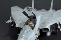 Hasegawa 1/48 F-14D Tomcat GunFighter 160 buno 164601 (2004)