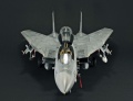 Hasegawa 1/48 F-14D Tomcat GunFighter 160 buno 164601 (2004)