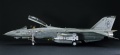 Hasegawa 1/48 F-14D Tomcat GunFighter 160 buno 164601 (2004)