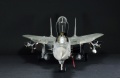 Hasegawa 1/48 F-14D Tomcat GunFighter 160 buno 164601 (2004)