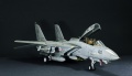 Hasegawa 1/48 F-14D Tomcat GunFighter 160 buno 164601 (2004)