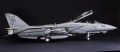 Hasegawa 1/48 F-14D Tomcat GunFighter 160 buno 164601 (2004)