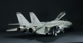 Hasegawa 1/48 F-14D Tomcat GunFighter 160 buno 164601 (2004)