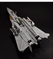 Hasegawa 1/48 F-14D Tomcat GunFighter 160 buno 164601 (2004)