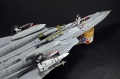 Hasegawa 1/48 F-14D Tomcat GunFighter 160 buno 164601 (2004)