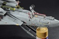 Hasegawa 1/48 F-14D Tomcat GunFighter 160 buno 164601 (2004)