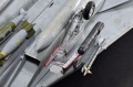 Hasegawa 1/48 F-14D Tomcat GunFighter 160 buno 164601 (2004)