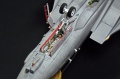 Hasegawa 1/48 F-14D Tomcat GunFighter 160 buno 164601 (2004)