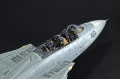 Hasegawa 1/48 F-14D Tomcat GunFighter 160 buno 164601 (2004)