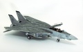 Hasegawa 1/48 F-14D Tomcat GunFighter 160 buno 164601 (2004)