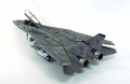 Hasegawa 1/48 F-14D Tomcat GunFighter 160 buno 164601 (2004)