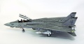 Hasegawa 1/48 F-14D Tomcat GunFighter 160 buno 164601 (2004)