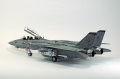 Hasegawa 1/48 F-14D Tomcat GunFighter 160 buno 164601 (2004)