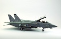 Hasegawa 1/48 F-14D Tomcat GunFighter 160 buno 164601 (2004)