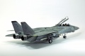 Hasegawa 1/48 F-14D Tomcat GunFighter 160 buno 164601 (2004)