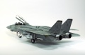 Hasegawa 1/48 F-14D Tomcat GunFighter 160 buno 164601 (2004)