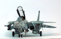 Hasegawa 1/48 F-14D Tomcat GunFighter 160 buno 164601 (2004)