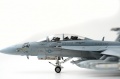 Hasegawa 1/72  EA-18G Growler