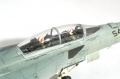 Hasegawa 1/72  EA-18G Growler