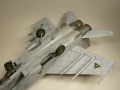 KittyHawk 1/48 -25      