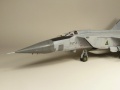 KittyHawk 1/48 -25      