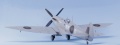 ICM 1/48 Spitfire MkVII